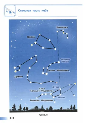 Мастер-класс «Созвездие Большая Медведица» (2 фото). Воспитателям детских  садов, школьным учителям и педагогам - Маам.ру