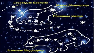 Северная часть неба - описание звезд и созвездий - ОМ Плешаков