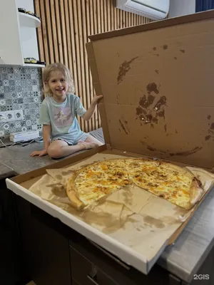 Мармелад в форме большой пиццы Gummi Zone Big Pizza XXL - Сладости со всего  мира по низким ценам!