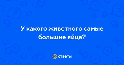 Большие яйца круче» — создано в Шедевруме