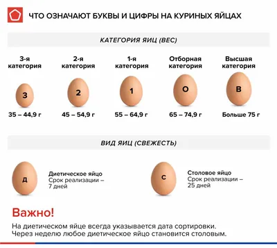 В море плавают большие яички» — создано в Шедевруме