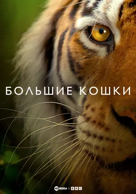 Большие перемены – Настасья Комарова - яркая песня про школу в исполнении  участницы Голос Дети - YouTube