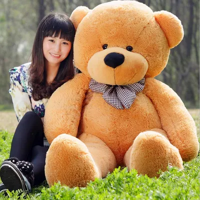 Большие медведи игрушки - Бесплатные обои для всех любителей медведей
