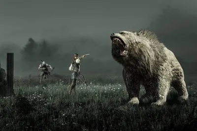 Красивые фотографии больших медведей в формате jpg