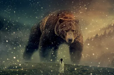 Большие медведи: искренний взгляд на природную жизнь