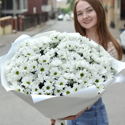 Большой букет белых хризантем (25) | Цена — 8750 ₽ | Бесплатная доставка в  Казани | Арт: 28483