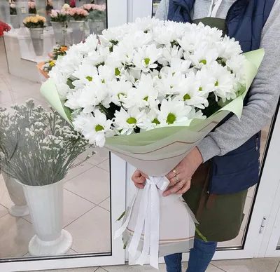 Букет из 33 белых кустовых хризантем - заказать в Нижнем Новгороде