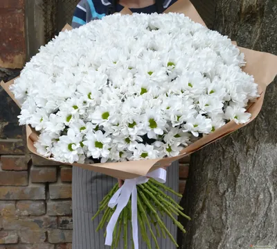 Букет из 51 белых хризантем. Сорт Бакарди | Flowers Valley
