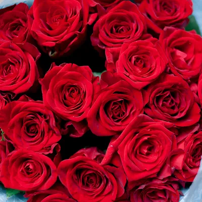 Роскошный большой букет роз, шелковые искусственные фоны для дома, отеля,  витрины, фотографии, свадебное украшение, цветы с листьями | AliExpress