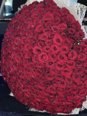 Огромный букет красных роз, артикул F1084396 - 199650 рублей, доставка по  городу. Flawery - доставка цветов в Москве