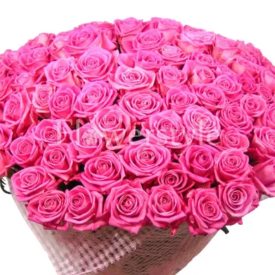 Букет из кустовых роз (49 шт) за 12500р. Позиция № 3363