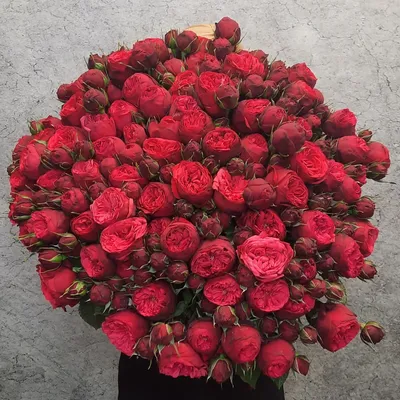 Большой букет из роз с эвкалиптом «RED Art»