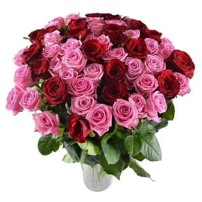 Купить Большой букет 101 ветка пионовидных роз с оформлением R891 в Москве,  цена 37 750 руб.