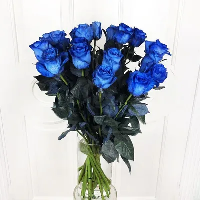 Букет 19 синих роз с зеленью купить с доставкой в СПб