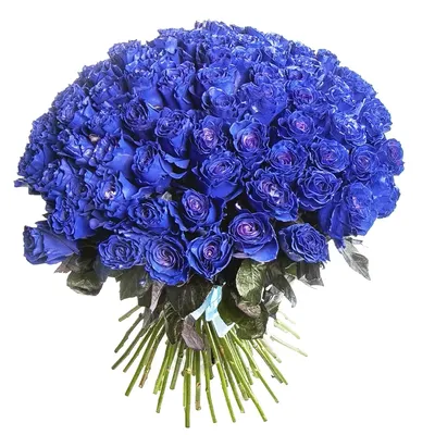 11 синих роз с гипсофилой | купить недорого | доставка по Москве и области