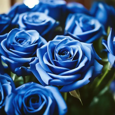Купить синие розы в Москве 🎕 заказать букет синих роз с доставкой по цене  130 руб за штуку