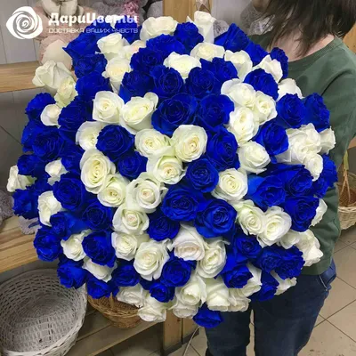 25 синих роз | доставка по Москве и области