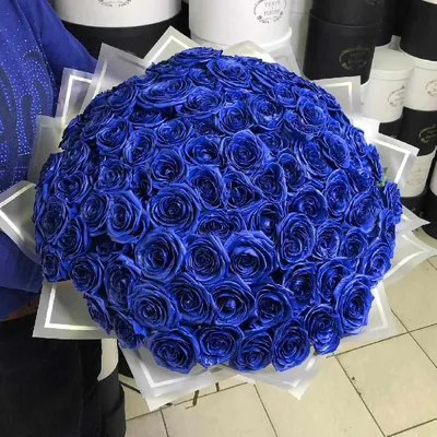 115 сине-белых роз (60 см) заказать с доставкой в Челябинске - салон «Дари  Цветы»
