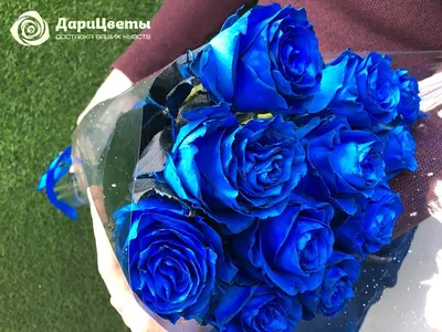 Синие розы в Петербурге и Москве круглосуточно, без предварительного заказа  - Невабукет.ру
