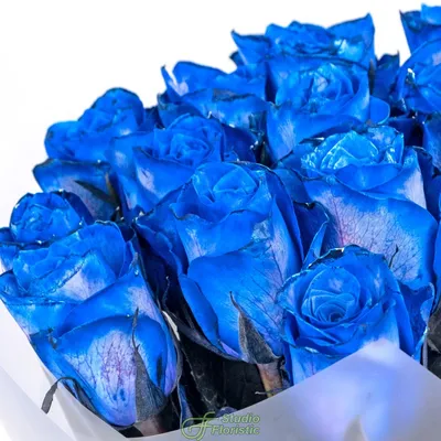Букет из синих роз 17 шт \"Синий Океан\" (Роза синяя шт.) с доставкой |  СтудиоФлористик
