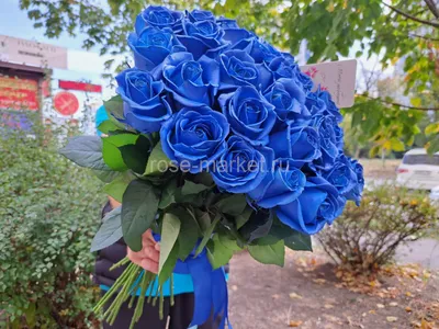 Бело синие розы - 78 фото