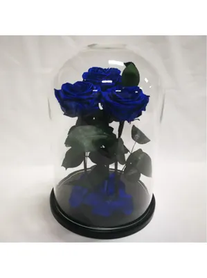 Букет 101 роскошной синей розы— купить в Алматы по цене 183270.00 тенге |  Интернет-магазин «ZakazBuketov»