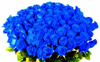 Букет 11 синих роз - заказ и доставка по Челябинску
