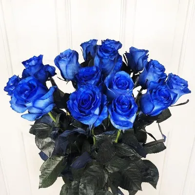 Букет синяя роскошные роза