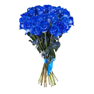 Купить синие розы в Москве 🎕 заказать букет синих роз с доставкой по цене  130 руб за штуку