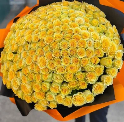 Купить огромный букет жёлтых роз 201 шт. 26500 р. в интернет магазине  Модный букет с доставкой по Москве