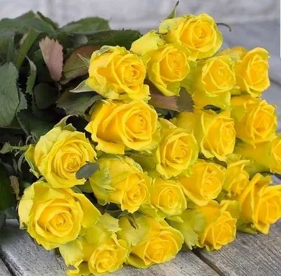 Заказать большой букет желтых роз FL-1424 купить - хорошая цена на большой  букет желтых роз с доставкой - FLORAN.com.ua