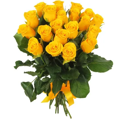 Букет из желтых роз купить с доставкой в Химках, желтые розы поштучно