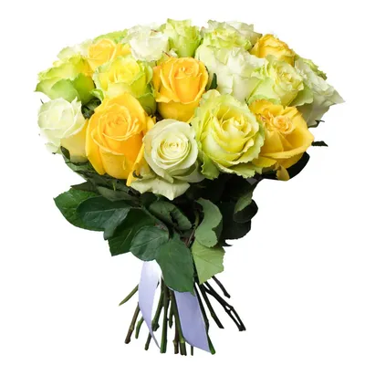 Купить Букет из 25 желтых роз с доставкой по Томску: цена, фото, отзывы.