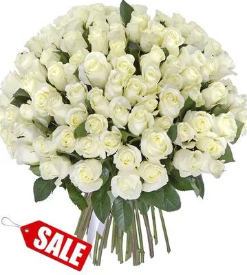 25 жёлтых, зелёных и белых роз по цене 3025 ₽ - купить в RoseMarkt с  доставкой по Санкт-Петербургу