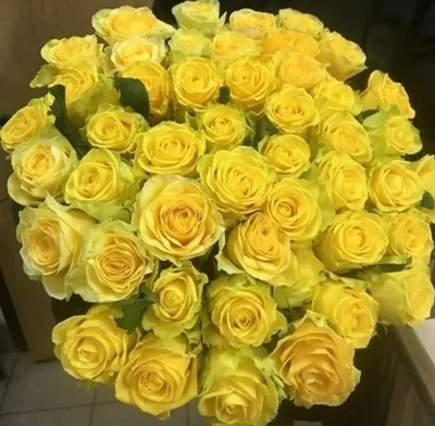 Букеты из роз, Букет из 55 желтых роз, низкие цены, большой выбор цветов с  доставкой по Москве и Московской области