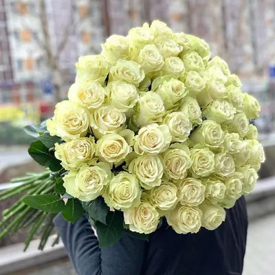 Корпоративный букет из 7 желтых роз | купить недорого | доставка по Москве  и области | Roza4u.ru