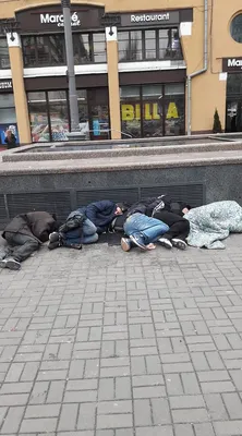 Соцсети шокировало фото бомжей в центре Киева | Политнавигатор