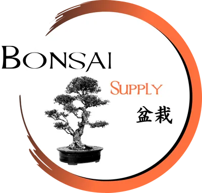 Ficus Microcarpa Ginseng Bonsai | Red Square Flowers