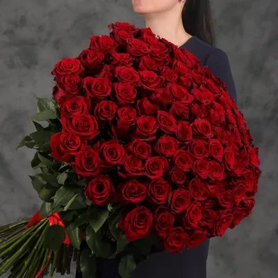 Купить букет из 101 бордовой розы 80 см по доступной цене с доставкой в  Москве и области в интернет-магазине Город Букетов