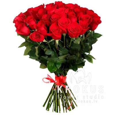 Букет 35 красных роз Премиум - Доставкой цветов в Москве! 24121 товаров!  Цены от 487 руб. Цветы Тут