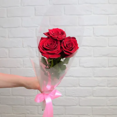 Букет комплимент из красных роз с зеленью купить в Саратове недорого