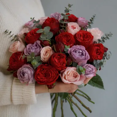 33 красные розы - купить цветы в Самаре с доставкой — Клумба- купить цветы  в Самаре с доставкой — Клумба