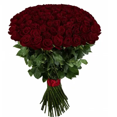 Бордовые, Букет из 101 бордовой розы, низкие цены, большой выбор цветов с  доставкой по Москве и Московской области