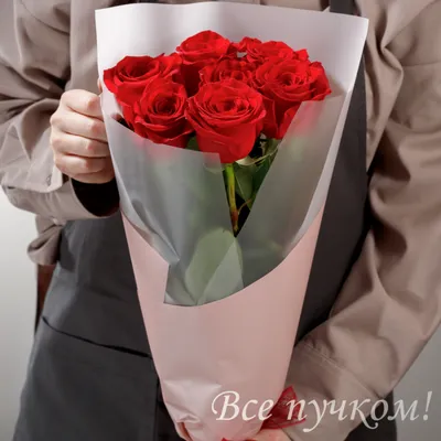 Букет из красных кустовых роз доставка цветов Харьков заказать цветы купить