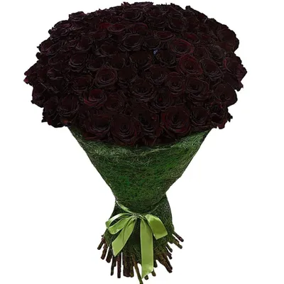 Купить Букет красных роз «Мужской» из каталога Красные розы в Сыктывкаре -  «Флориска».