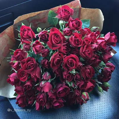 Купить розы кустовые бордовые от V-flowers. Заказать букет роз. Цветы с  доставкой.