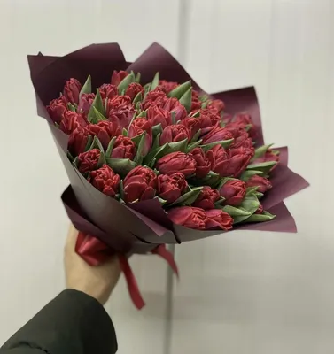 Купить букет из 49 бордовых тюльпанов по доступной цене с доставкой в  Москве и области в интернет-магазине Город Букетов
