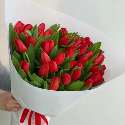 Красные тюльпаны в коробке за 6490 ₽ с доставкой по Москве