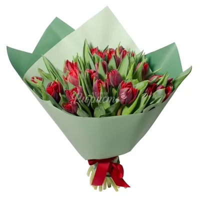 Купить Красные тюльпаны №162 в Москве недорого с доставкой