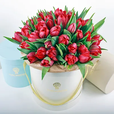 Пакет Тико 45х38 \"Бордовые тюльпаны\" купить в интернет-магазине Упакмаркет  | Скидки от объема